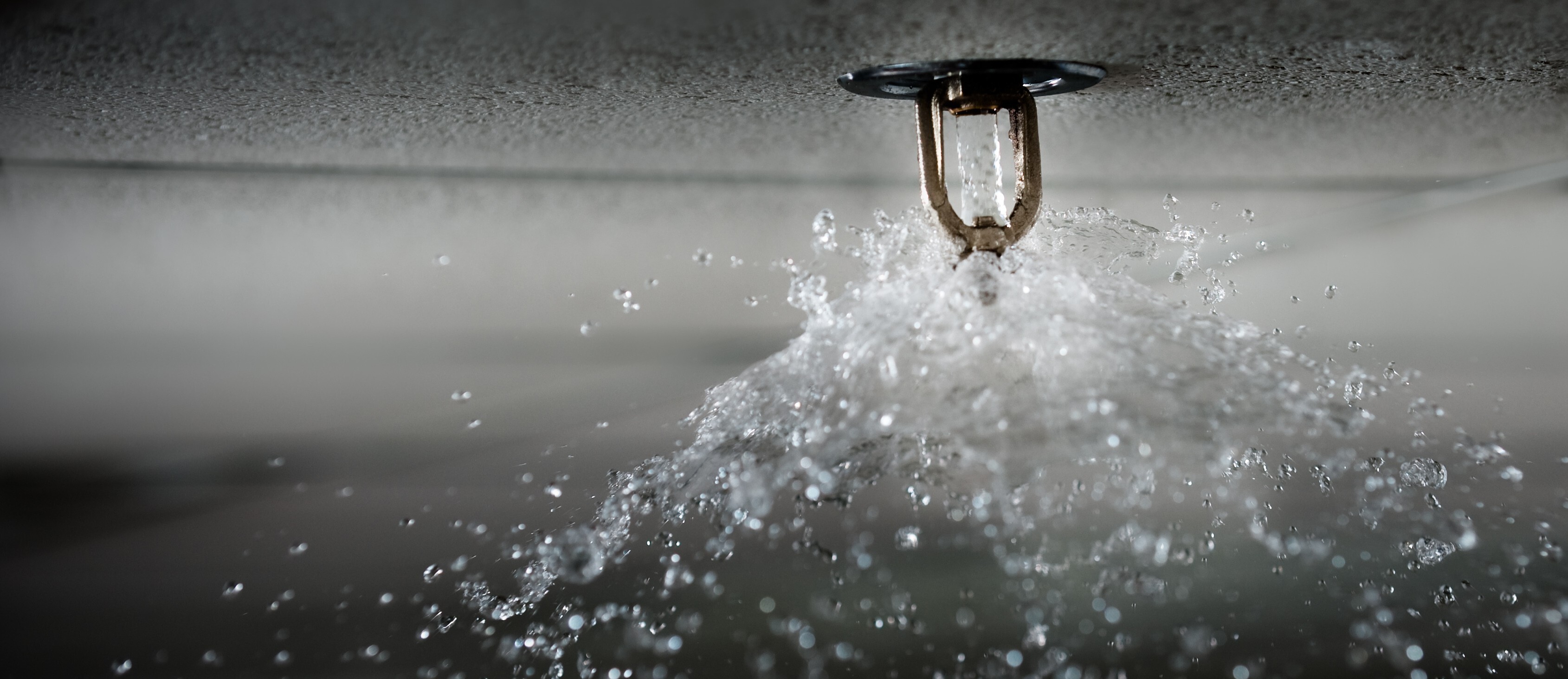 How Much Does a Fire Sprinkler System Cost?