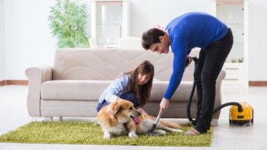 Review: The Best Products for Carpet Cleaning in the UK