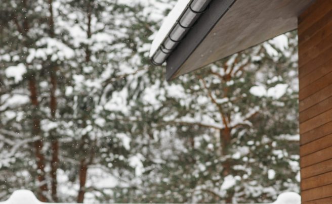 pexels-pavel-danilyuk-6667098