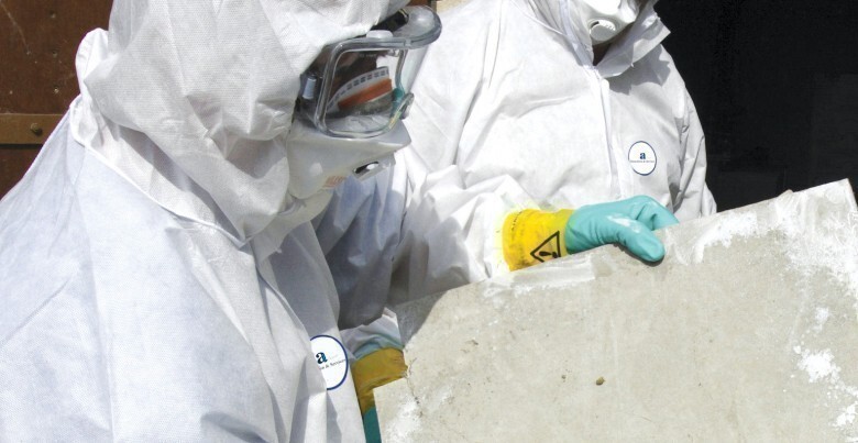 domestic asbestos survey