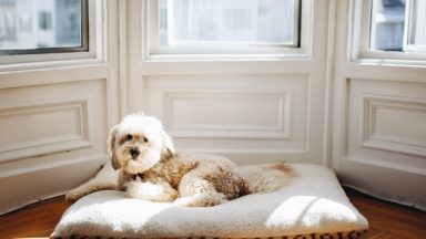 Pricing Guide for Blinds and Shades