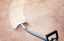 Removing,Dirt,From,Carpet,With,Professional,Vacuum,Cleaner,Indoors