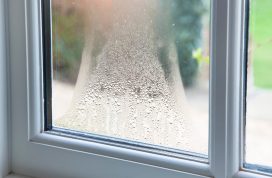 Blown window