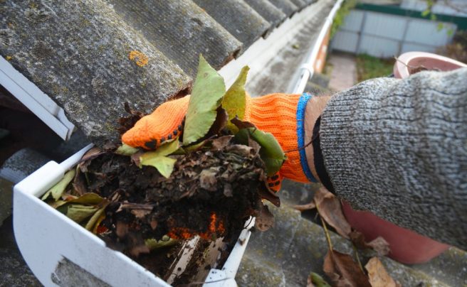 Gutter cleaning